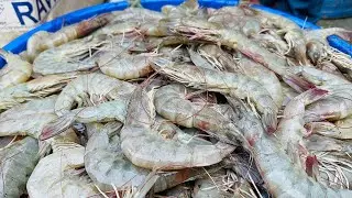Amazing Fish Cutting Skills |Prawns Fish Cutting Skills |Prawns cleaning & cutting |RRRM