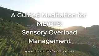 Guided Meditation for ME/CFS:  Sensory Overload Management