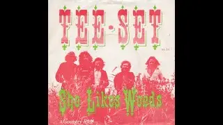 Tee-Set - She likes weeds (Nederbeat / pop) | (Delft) 1970