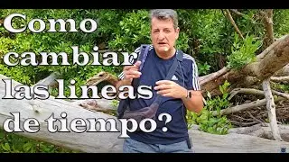 EDC-0425-Como cambiar de Lineas de tiempo