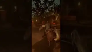 Horse stops for no one