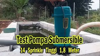 Tes Pompa Celup Submersible Kolam dan Springkle