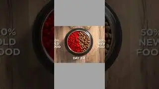 Dog Food on Amazon Hills Science Diet Dry Dog Food #shorts