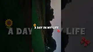 mini vlog 4/10 challenge A day in my life#minivlog #vlog #subscribe #explore #nature