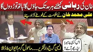 Ali Muhammad Khan Dangerous Speech National Assembly Shehbaz Govt Shook 🚨🔥