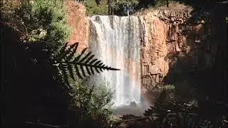 Relaxing Jungle Vibe Music And Jungle Videos For Stress Relief, Calming, Meditation, Sleeping