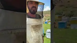 Bingöl Arıca Köyünde Arıcılık Belgeseli