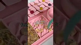 Cat food asmr sounds #catasmr #asmrsounds #catfeeding #asmr #feedmycats