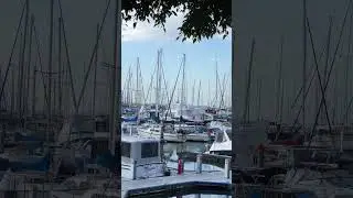 😙 Wealth and Luxury | Manly Brisbane