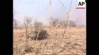 South Africa - Fire in Kruger National Park