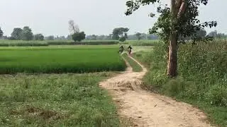 united trail 125 vs wego 150 @ off road