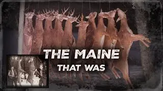 When the Woods Were Wilder | 75 Seasons in Northern Maine (Part 1)
