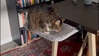 Cat Hammock - Sturdy and Soft, Mount Anywhere!