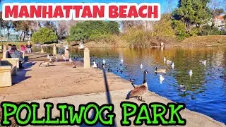 polliwog park manhattan beach california 2022.