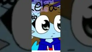 su bscribers