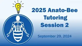 2025 г. Второй учебный семестр программы Anato-Bee.