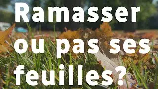 Ramasser ou pas ses feuilles?