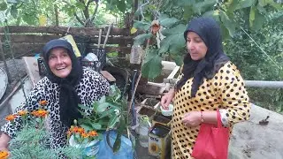 olay var olay😱 Hayriye ablayla durkadin abla bir arada #Temenler köyü ne misafir olduk #köyziyareti