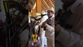 El colás - son jarocho (xcaret)