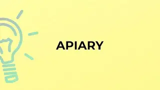 What is the meaning of the word APIARY?