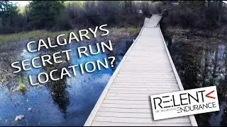 SECRET RUN CALGARY : My favourite run inside City Limits