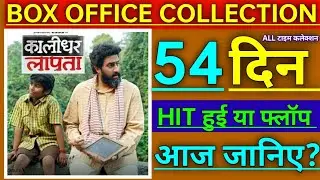 कलीदार लापता ऑल टाइम कलेक्शन ll Abhishek Bachchan latest news