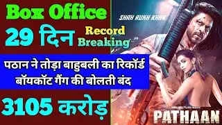 Pathaan Box Office Collection | Pathaan 28th Day Collection, Pathaan 29th Day Collection, Shahrukh