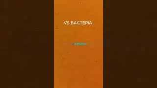 Microscope Experiment 9.