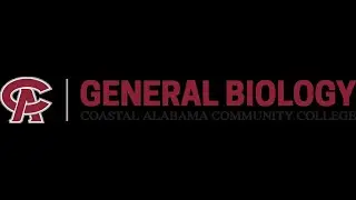 BIO 101 - Chapter 12 - Gene Transcription and RNA Modification