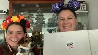 Mickey Loot Disneyland C Limited Release Ticket Box