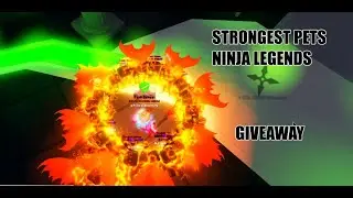 Ninja Legends I MADE STRONGEST PETS to GIVEAWAY. GLITCHED AWAKENED NIGHTHUNTER