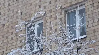 КРАСНОЯРЦЫ ПОСЛЕ МОРОЗОВ БОЯТСЯ ОГРОМНЫХ СЧЕТОВ ЗА КОММУНАЛЬНЫЕ УСЛУГИ