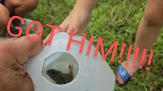 Fast...easy way to catch a ground squirrel! KIDS LOVE IT