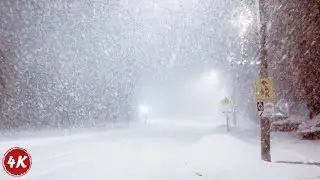 EXTREME Snowstorm Walking | Massive Snowfall in Southern Ontario Canada