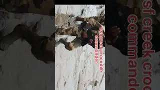 bsf water wing commander #shorts #motivation #video#status