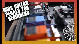 Ultimate Boss pedals guide for beginners