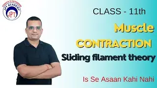 Muscle contraction - Movement and Locomotion11th CBSE - 2025 & NEET 2025 / JPT BIOLOGY ACADEMY