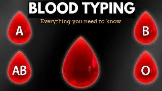 The Mystery of Blood Typing: The Facts You Need to Know About Your Blood!