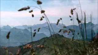 Zither Bergtr&auml;ume von Max Klein