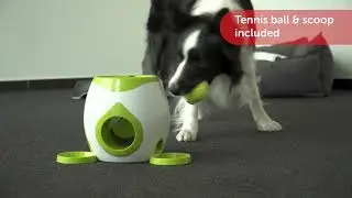 Fetch and Treat Dog Toy Wilson