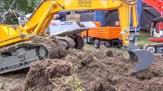 Building a road in the garden with RC Excavators and RC Trucks