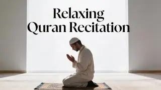 Beautiful Quran Recitation for Deep Sleep, Peace & Healing