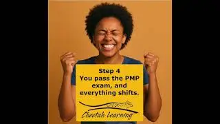 Becoming a PMP With Cheetah: The Version of You That Steps Forward