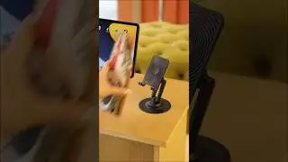 Unboxing the Ultimate Budget Mobile Phone Stand! 📱✨