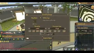 Runescape Merchanting Guide 2013 (SECRET ITEMS)