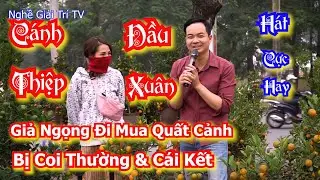 ✅ Giả Anh Ngọng Đi Mua Quất Cảnh, Bất Ngờ Hát Cực Hay [ Hoàng Hà ]