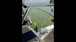 An ACTION Packed 4 Hour Fishing Trip