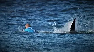 Shark Stories & Lifeguards | Rescue Swimmer Mindset Podcast