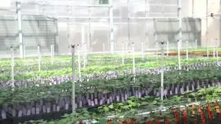 Техасский технологический институт, Центр инноваций в области открытых семян Bayer CropScience