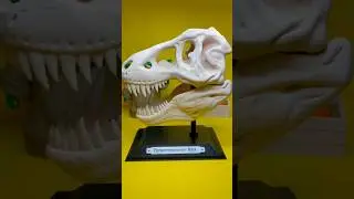 3D printed T-Rex Skull🦖🫢 #3dprinting #toys